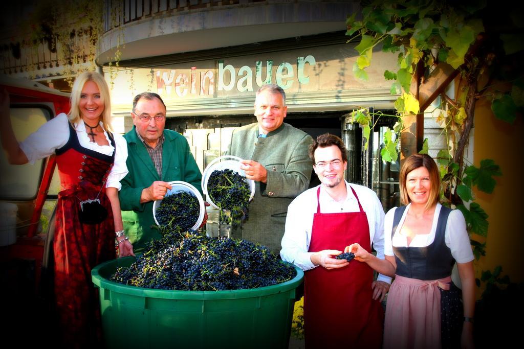 Pension Weinbauer Hofkirchen im Traunkreis Buitenkant foto