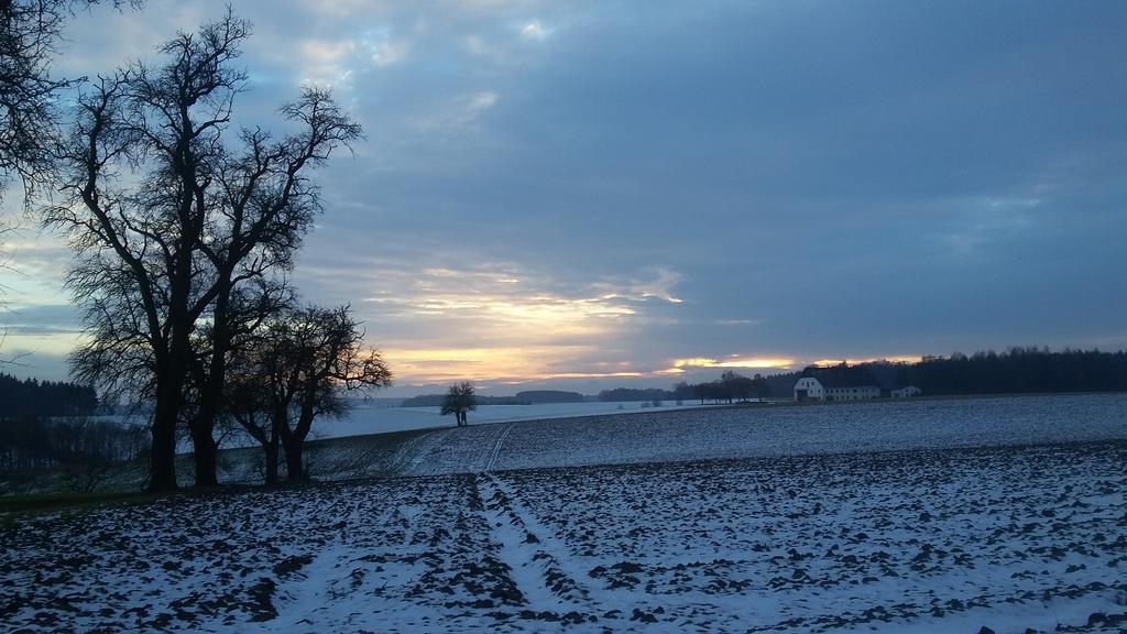 Pension Weinbauer Hofkirchen im Traunkreis Buitenkant foto