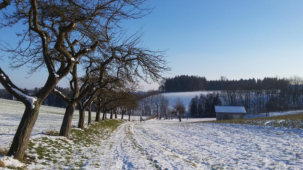 Pension Weinbauer Hofkirchen im Traunkreis Buitenkant foto