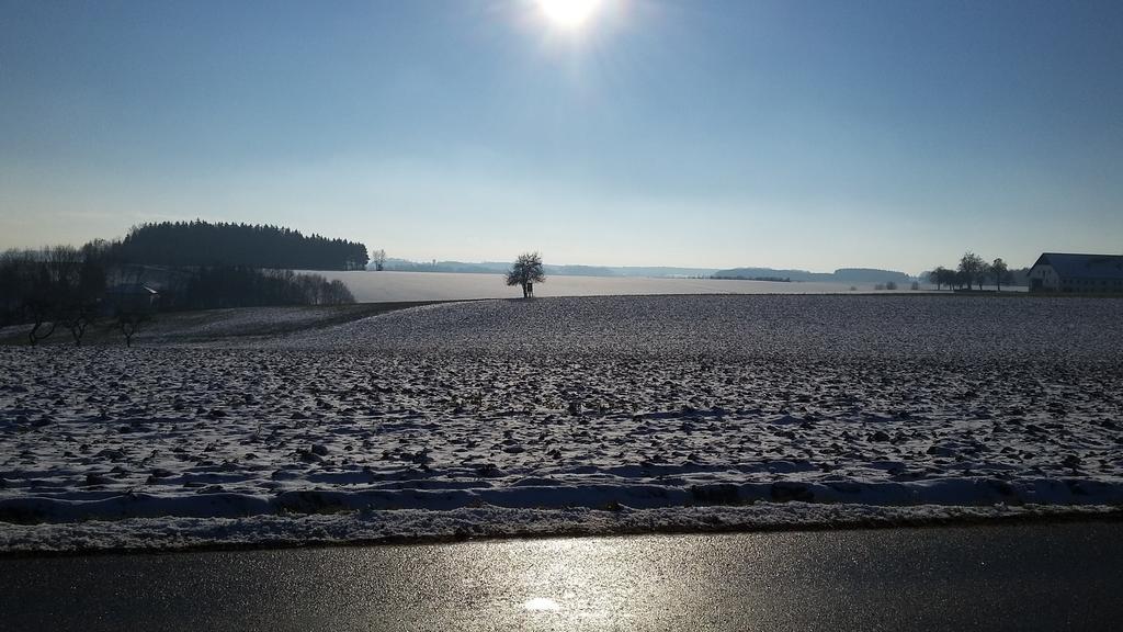 Pension Weinbauer Hofkirchen im Traunkreis Buitenkant foto